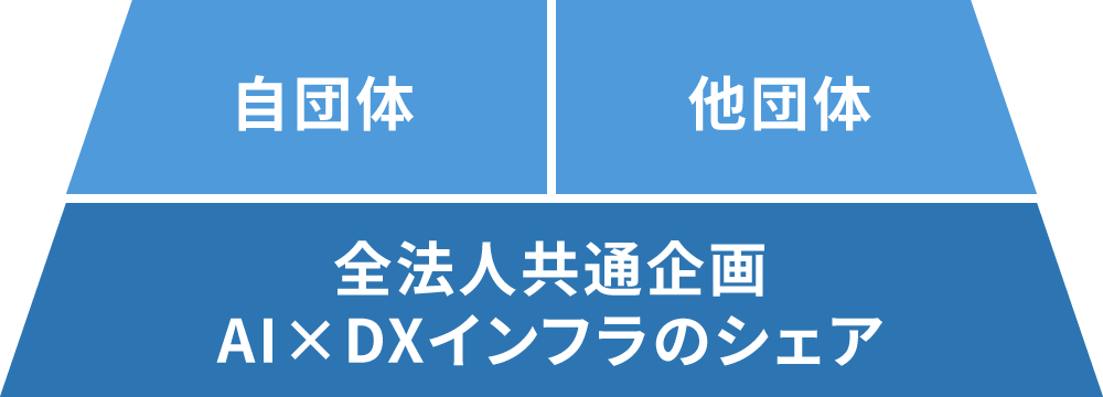 DX pro