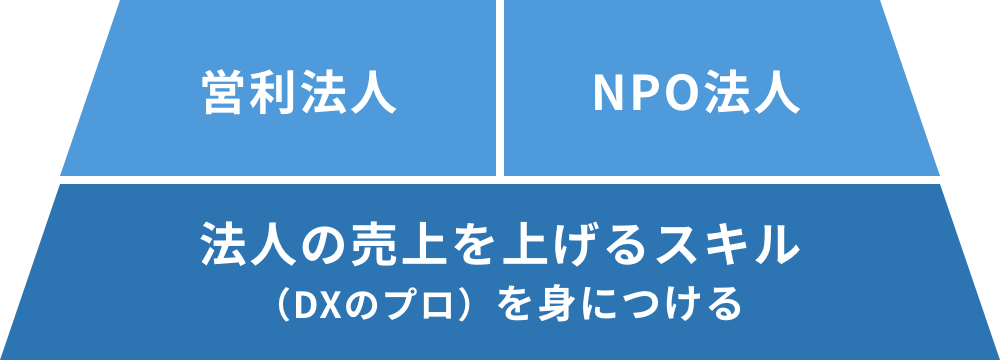 DX pro